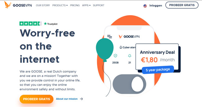 GOOSE VPN Review homepage