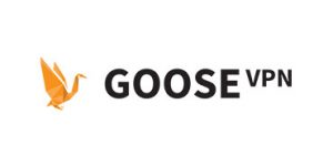 goose-vpn review