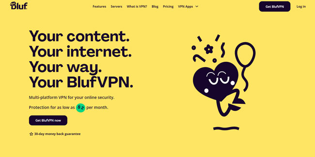 BlufVPN Review Homepage
